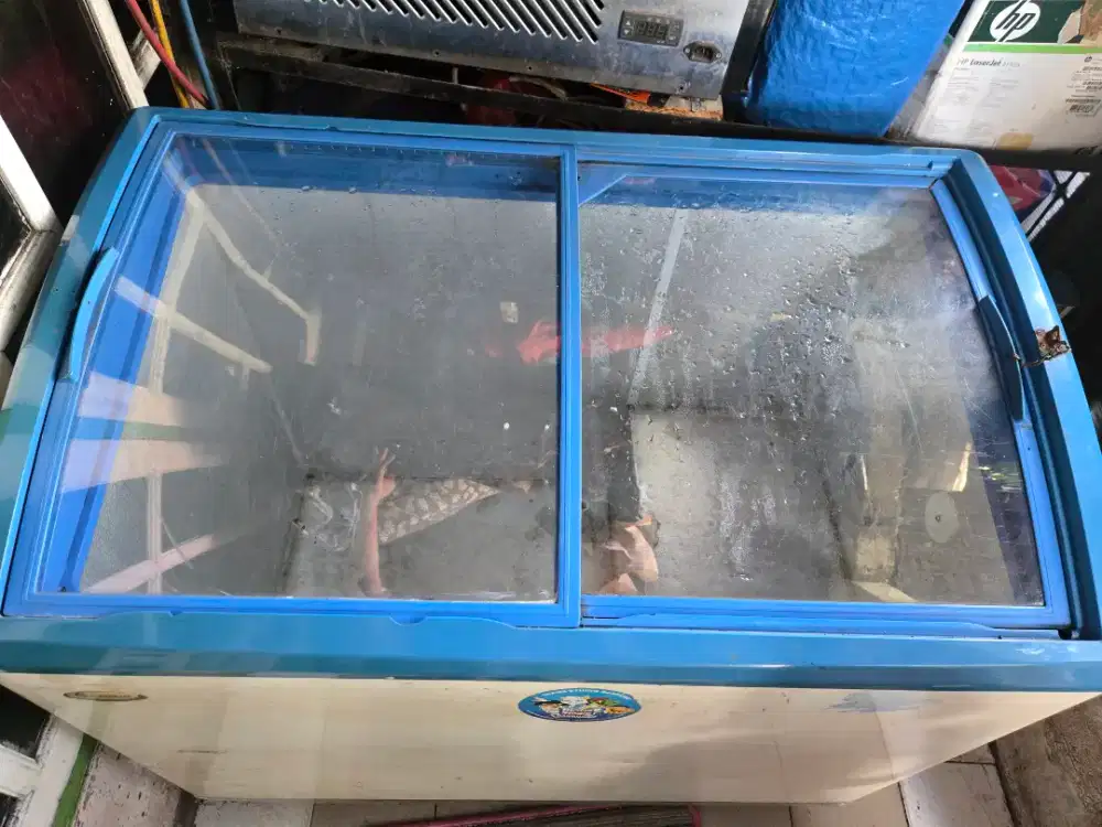 FREZEER SANSIO tropicalized