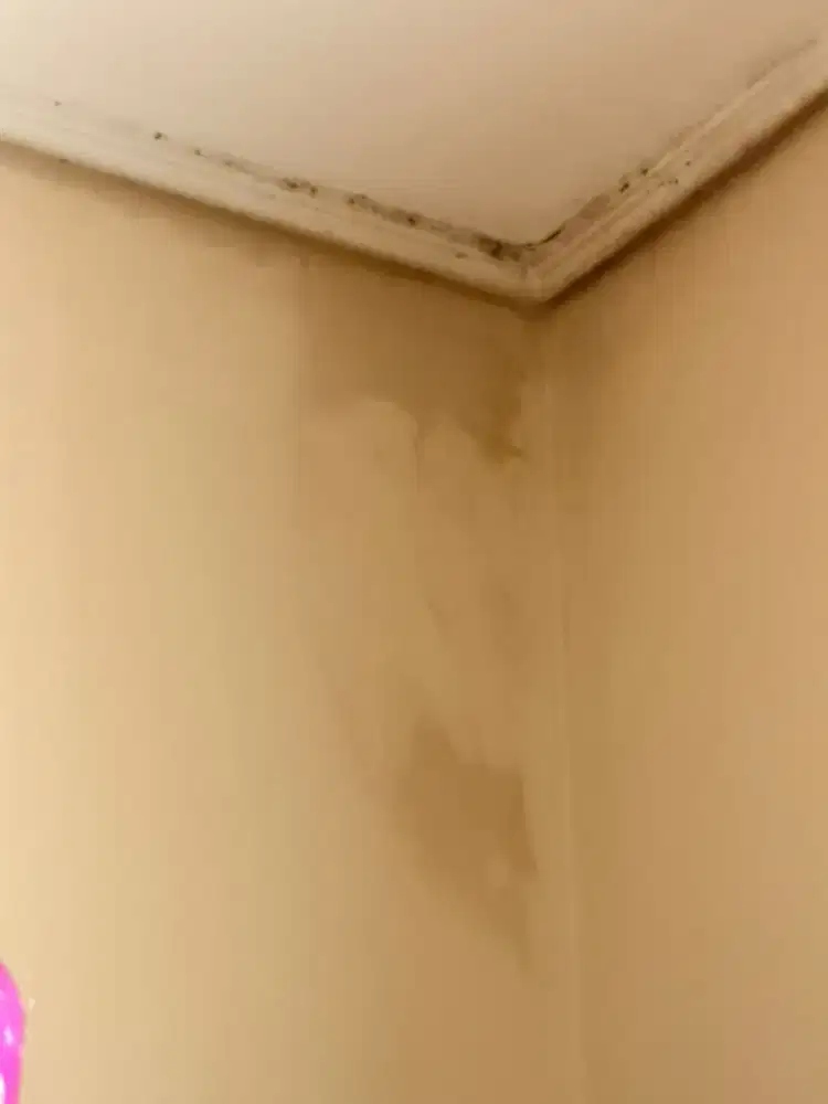 Perbaikan atap bocor ganti talang air masang keramik ngecat rumah,