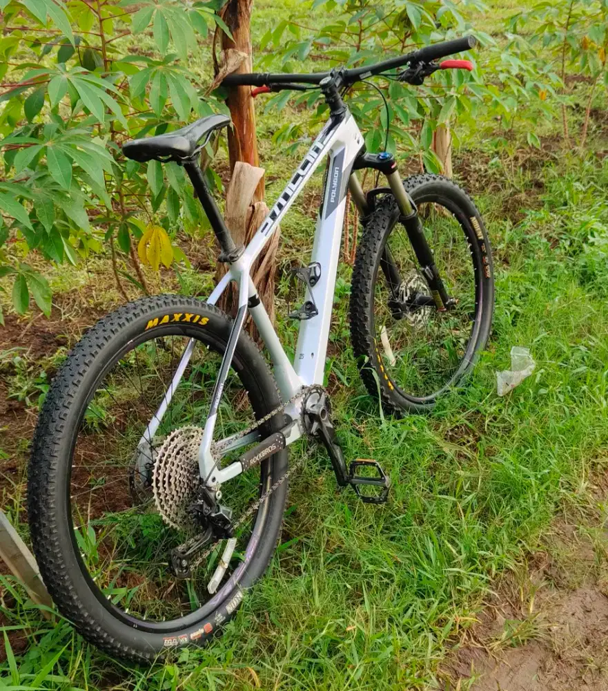 Syncline C2 Carbon mantappppp