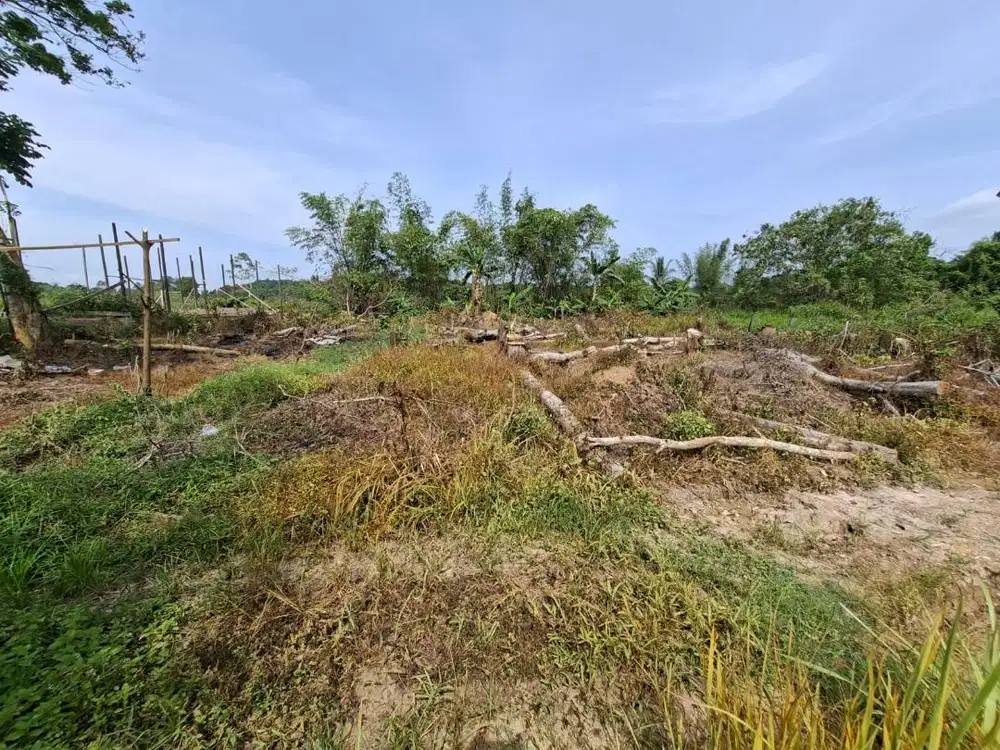 Dijual cepat tanah di Tenggarong Kalimantan Timur