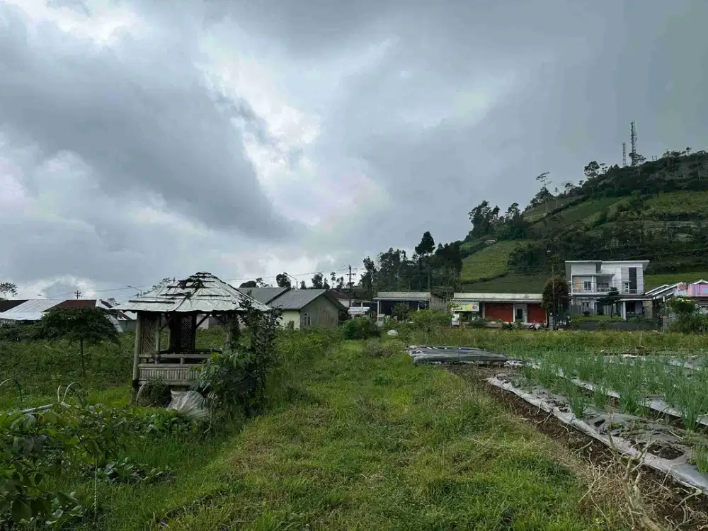 Tanah pekarangan kompleks wisata Pratin Serang Purbalingga