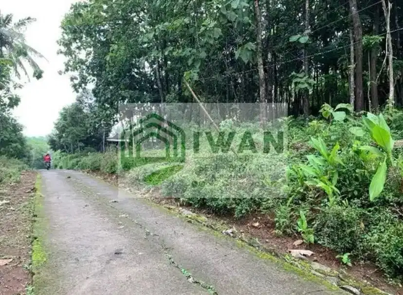 Kavling Luas Free BBN Dekat Jalan DPU