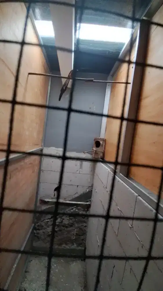 Murai Medan ada 3 pasang