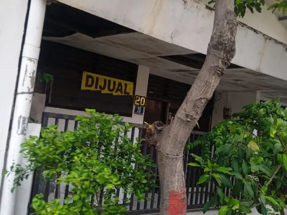 rumah dijual gubeng kertajaya surabaya