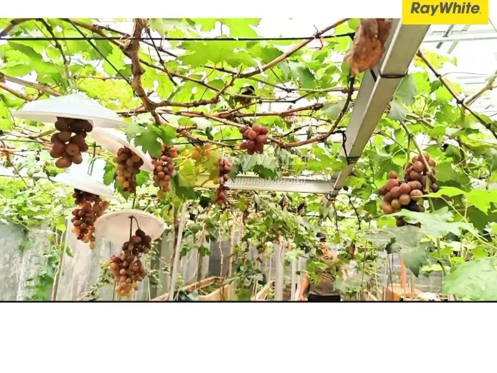 Dijual Tanah di Korpri Raya, Sukarame, Bandar Lampung (Kode: AY 3486)