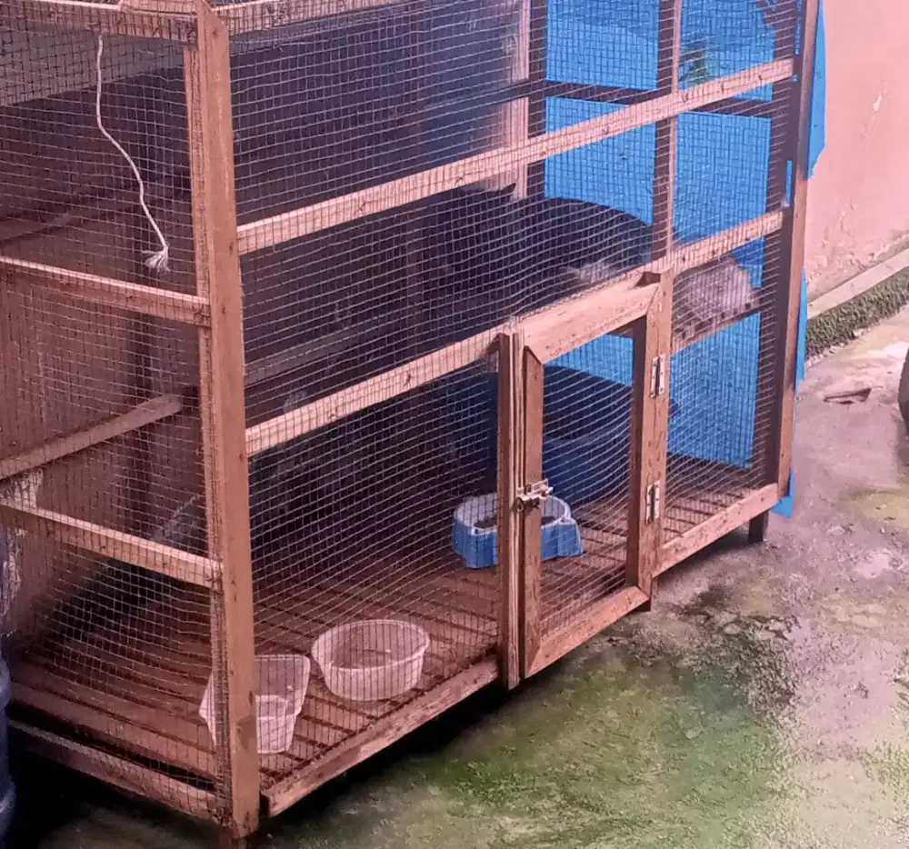 Kandang kucing besar