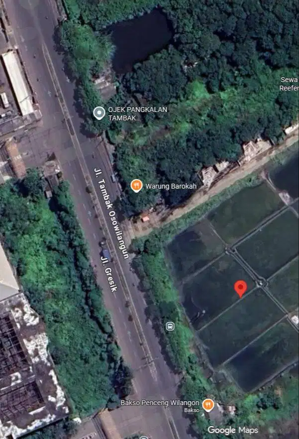 Dijual Tanah Industri langsung Akses ke Laut Tambak Osowilangon