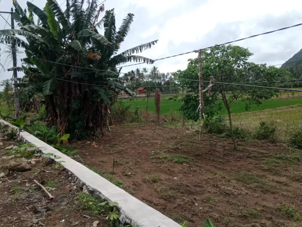 Tanah SHM 92,93 Are – 10 Menit ke Pantai Selong Belanak | Harga 110 Jt/Are LA