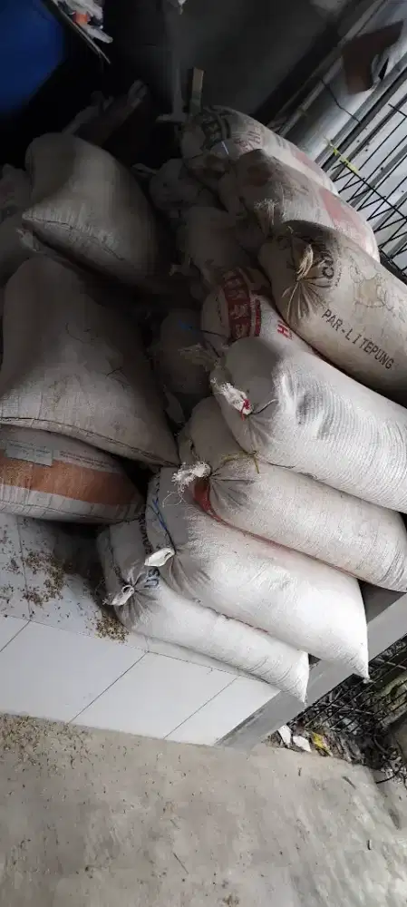 Sekam mentah alas kandang/media tanam