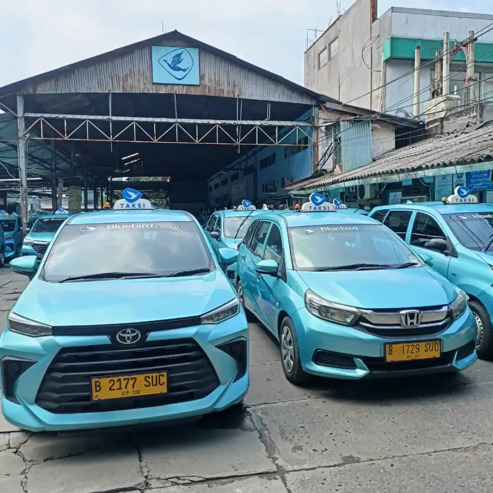 Driver taxi blue bird group