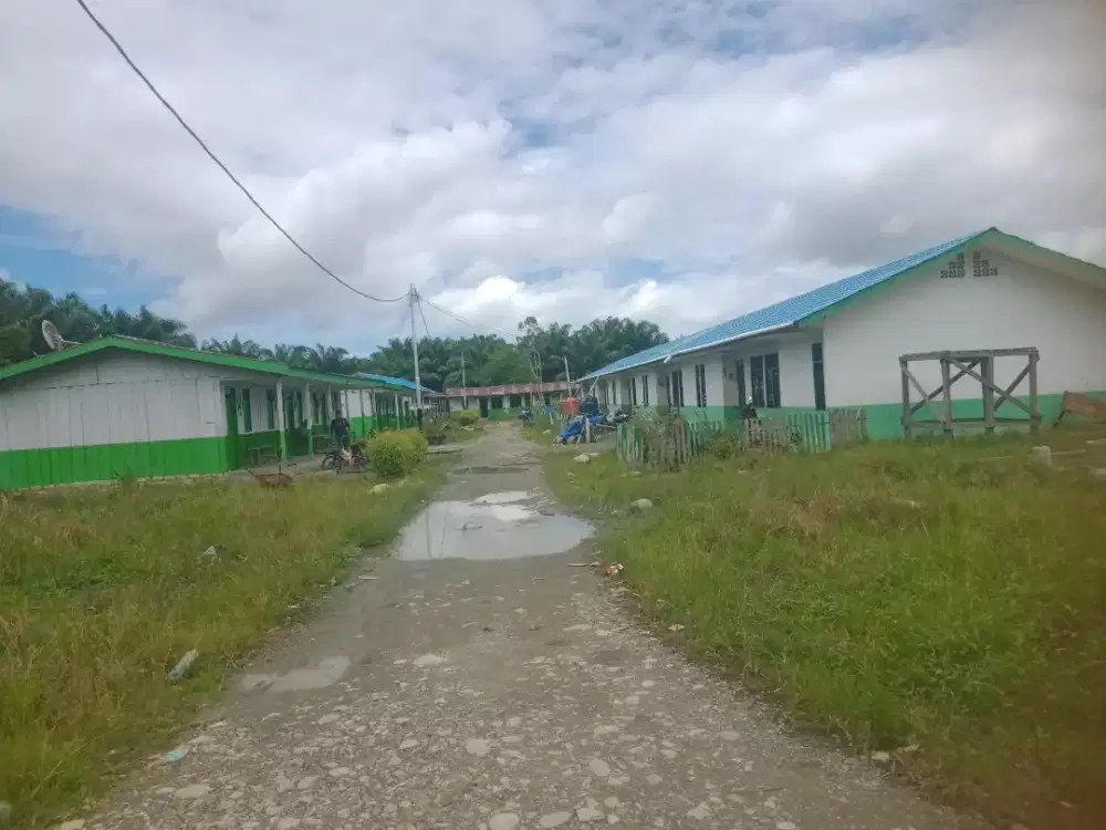 LOKER PANEN KELAPA SAWIT JAYAPURA