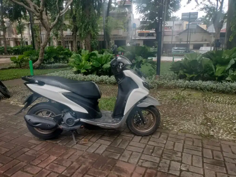 Yamaha freego 2019 PJK pjg