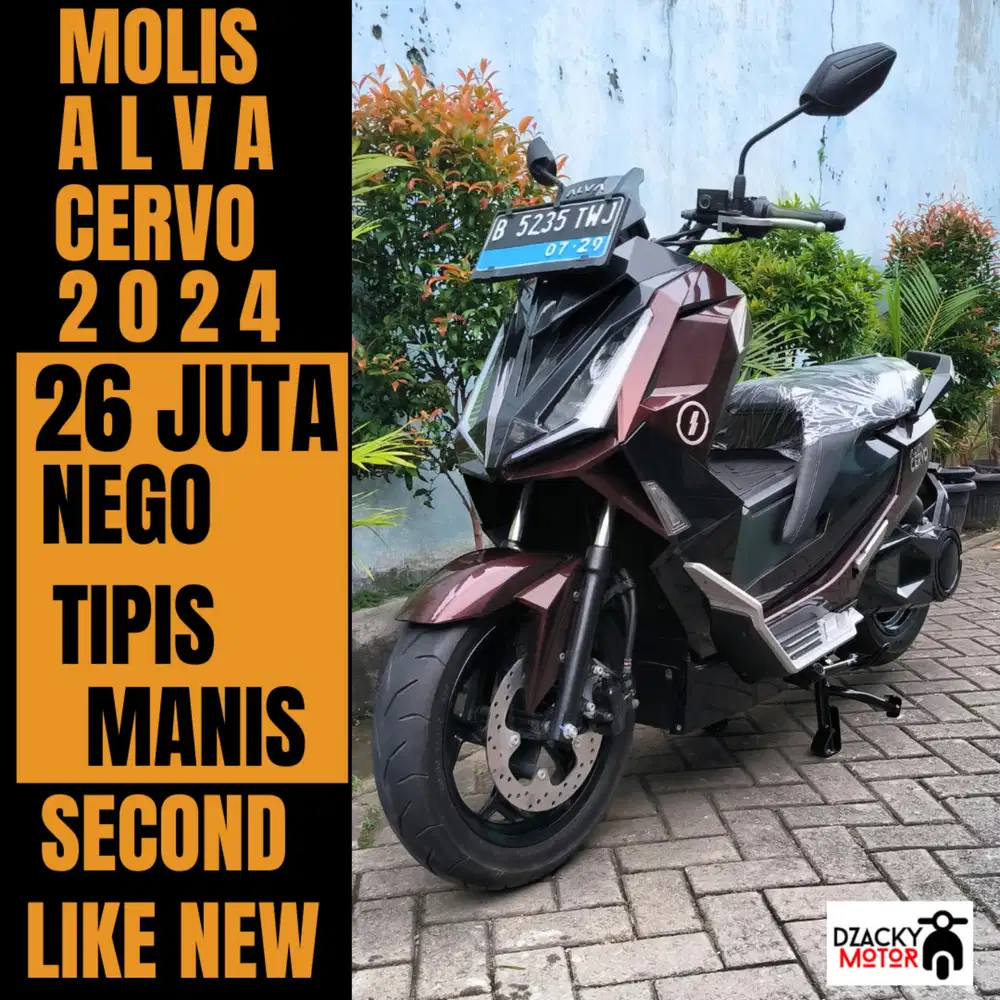 ALVA CERVO MOLIS 2024  SECOND LIKE NEW