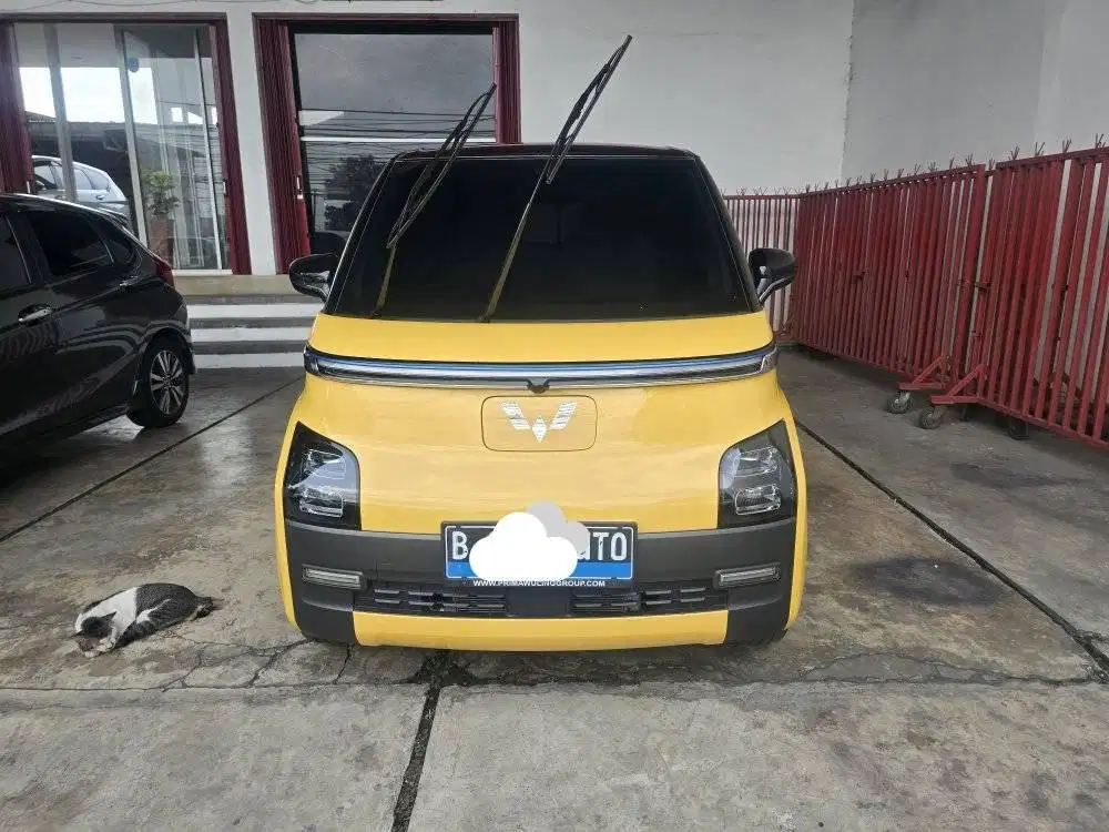 WULING AIR EV LONG RANGE TH 2022