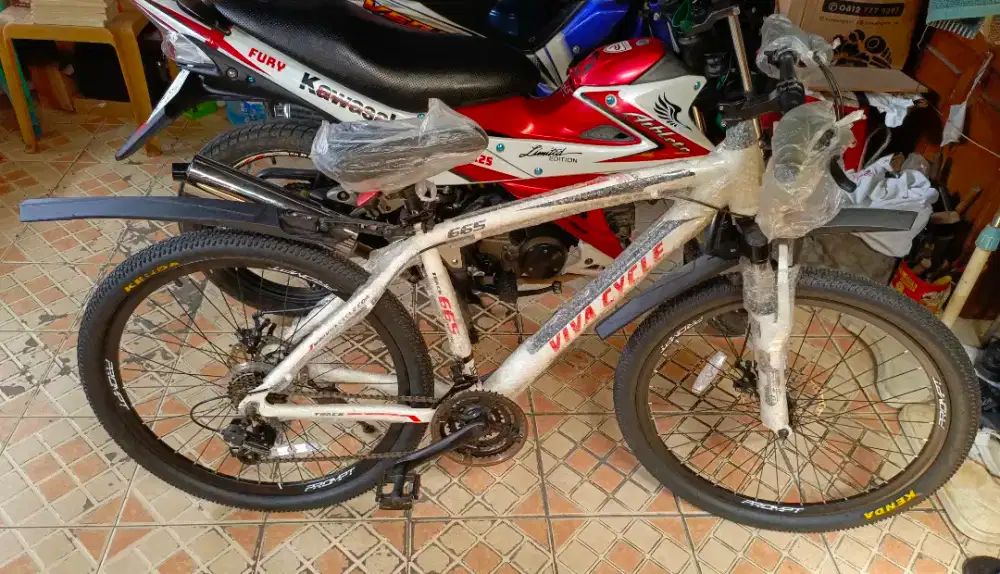 Sepeda MTB VIVA CYCLE Track 665