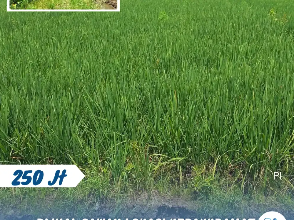 Dijual Sawah Lokasi Kebakkramat Karanganyar