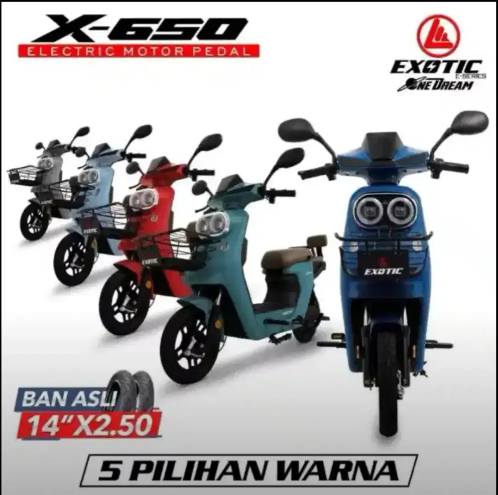 SEPEDA LISTRIK EXOTIC X-650