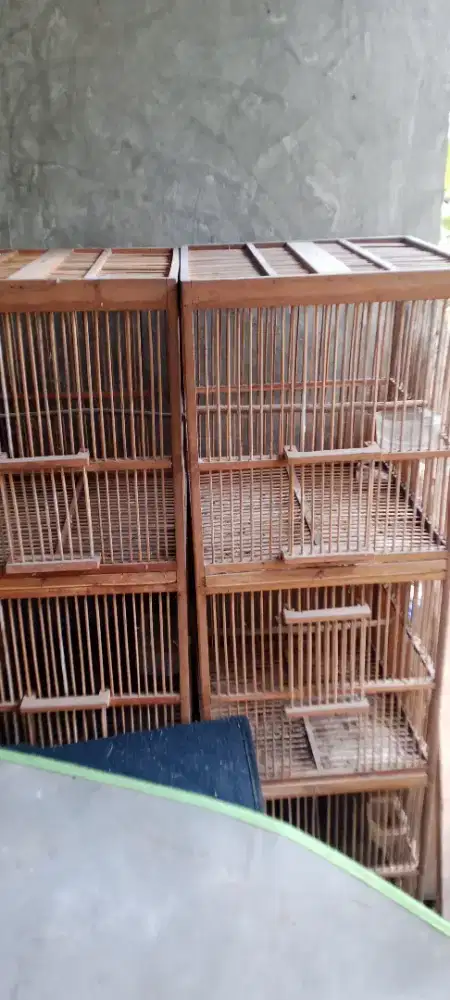 Kandang kosan ombyokan burung 4 susun