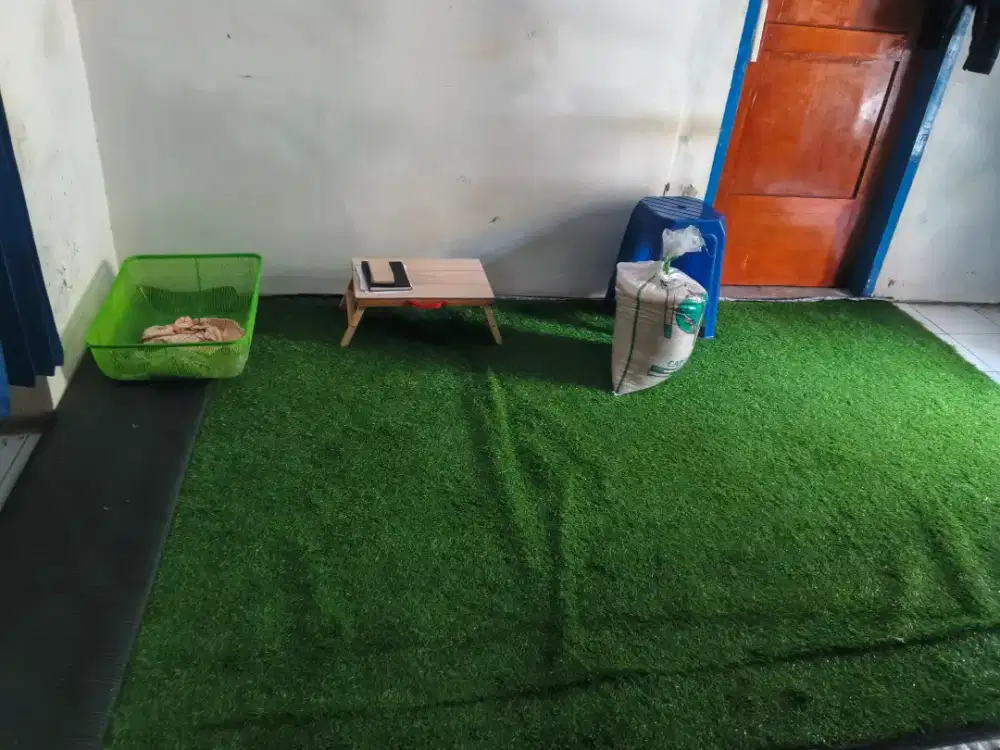 Rumput sintetis bekas mulus 4x2