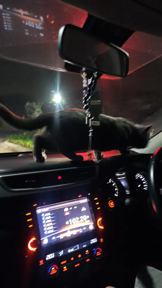 Nissan X-Trail 2016 Bensin