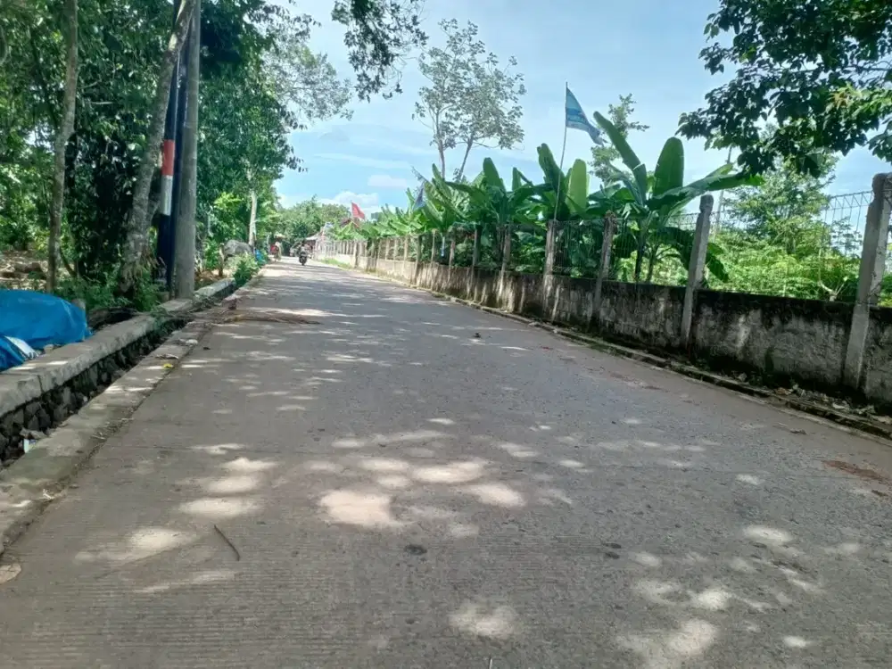 Tanah 100 Jt-an Cisauk Dekat Stasiun Jatake, Bisa Cicil 12x