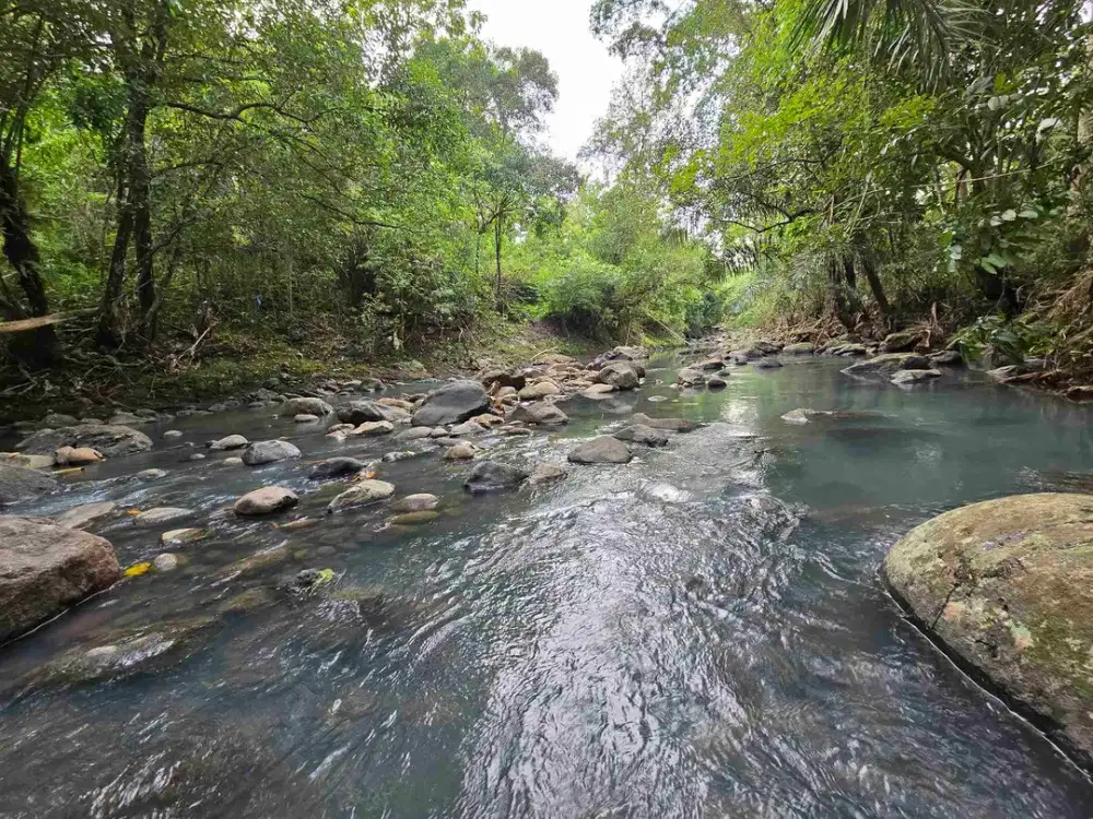 Dijual tanah langsung dengan sungai bebatuan di tabanan bali