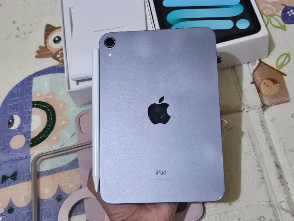 Ipad mini 6 256gb