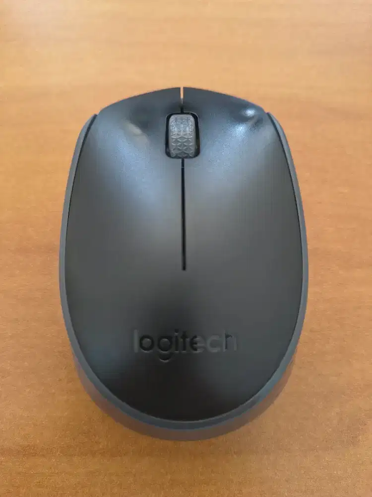 Logitech M170 Wireless Mouse