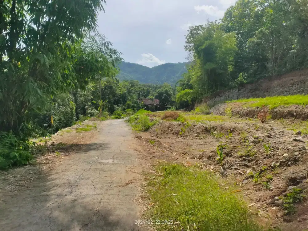 Lahan Investasi Bernilai Tinggi di Kawasan Wisata Pleret