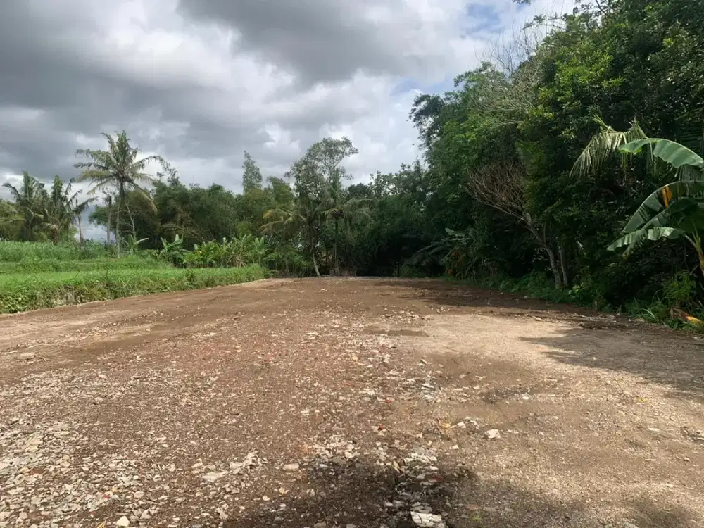 Dijual Tanah Mangku Jl Pandowoharjo Utara Jejamuran