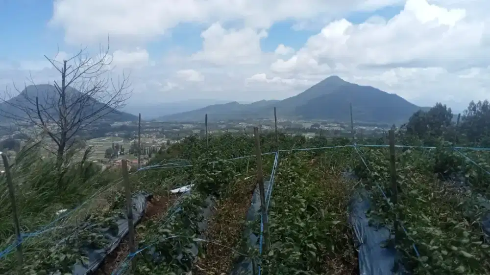 Tanah view istimewa di cuntel kopeng