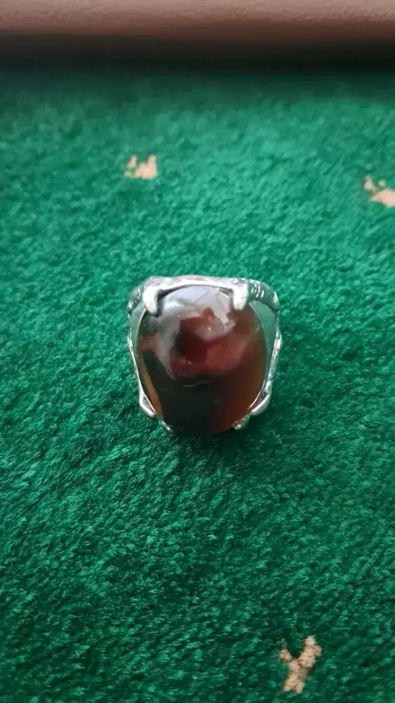 KECUBUNG TEH terang gelap