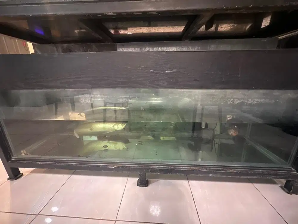 Aquarium 2meter set kaki dan filter