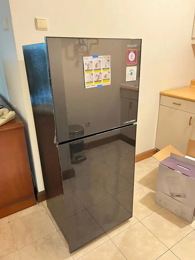 Kulkas sharp 2 pintu