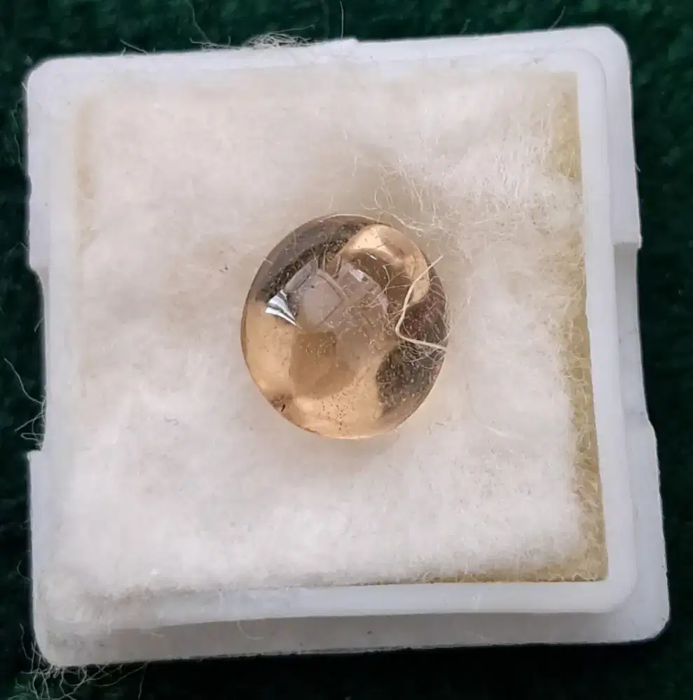 KECUBUNG TEH terang gelap