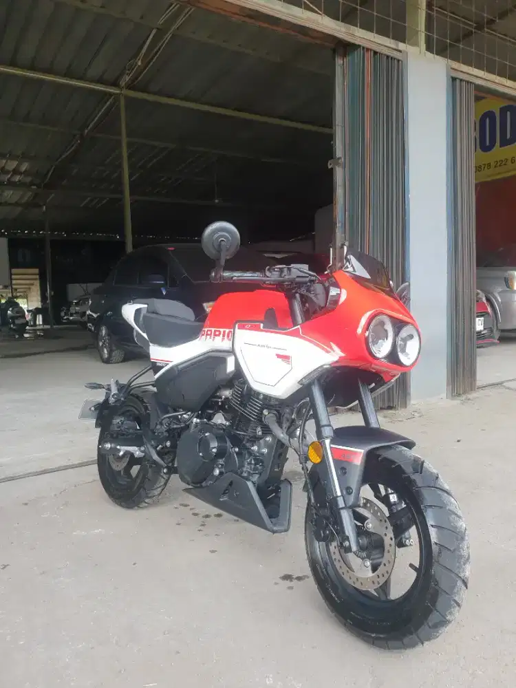 Cf moto papio x1
