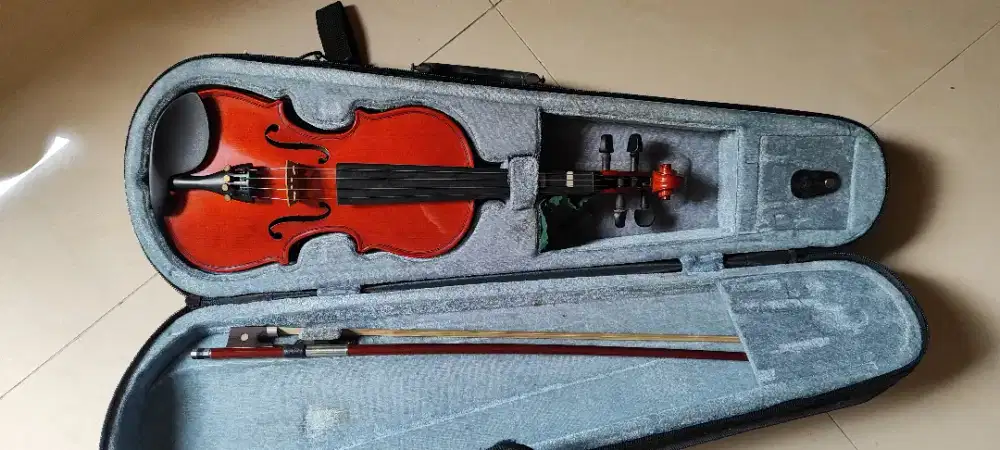 Jual biola bekas murah