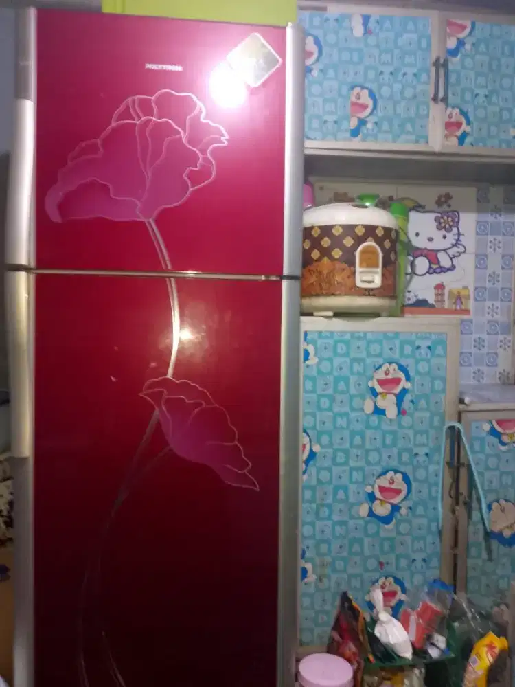 Kukis polytron 2 pintu