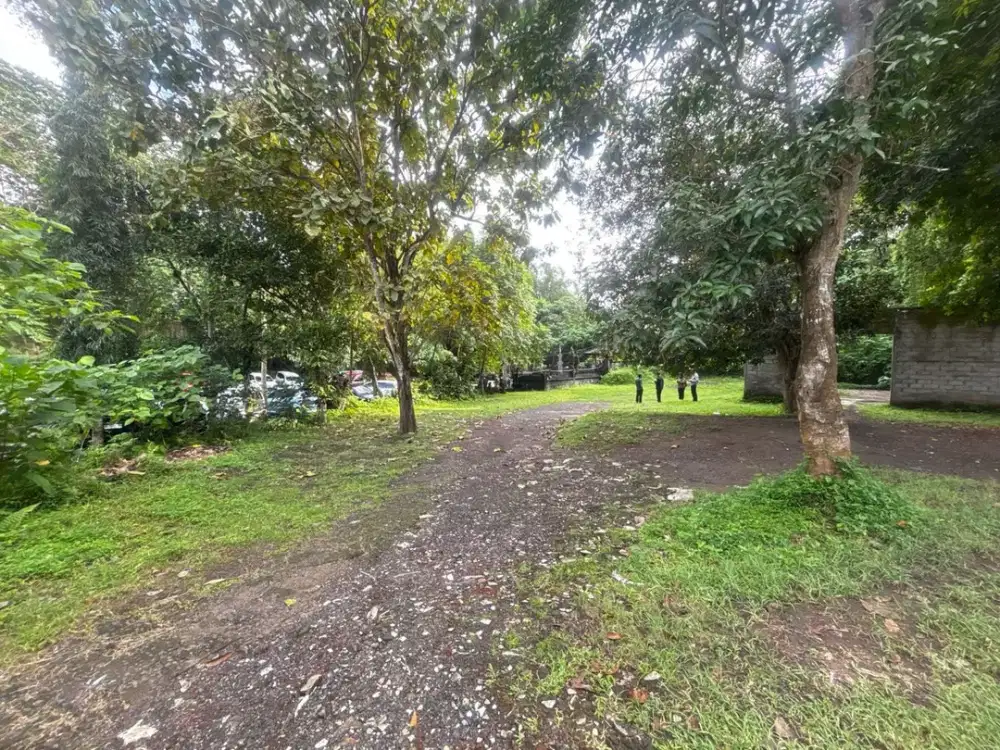 DIJUAL 1 BIDANG TANAH – KOTA DENPASAR