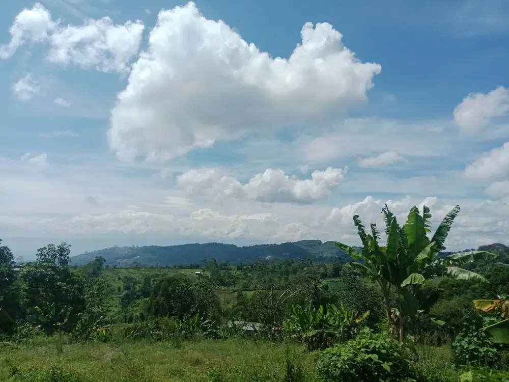 DIJUAL CEPAT TANAH STRATEGIS DI KAWASAN PUNCAK BOGOR – CIANJUR