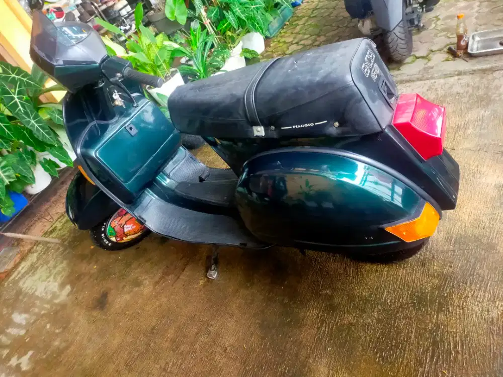 WTS vespa excel