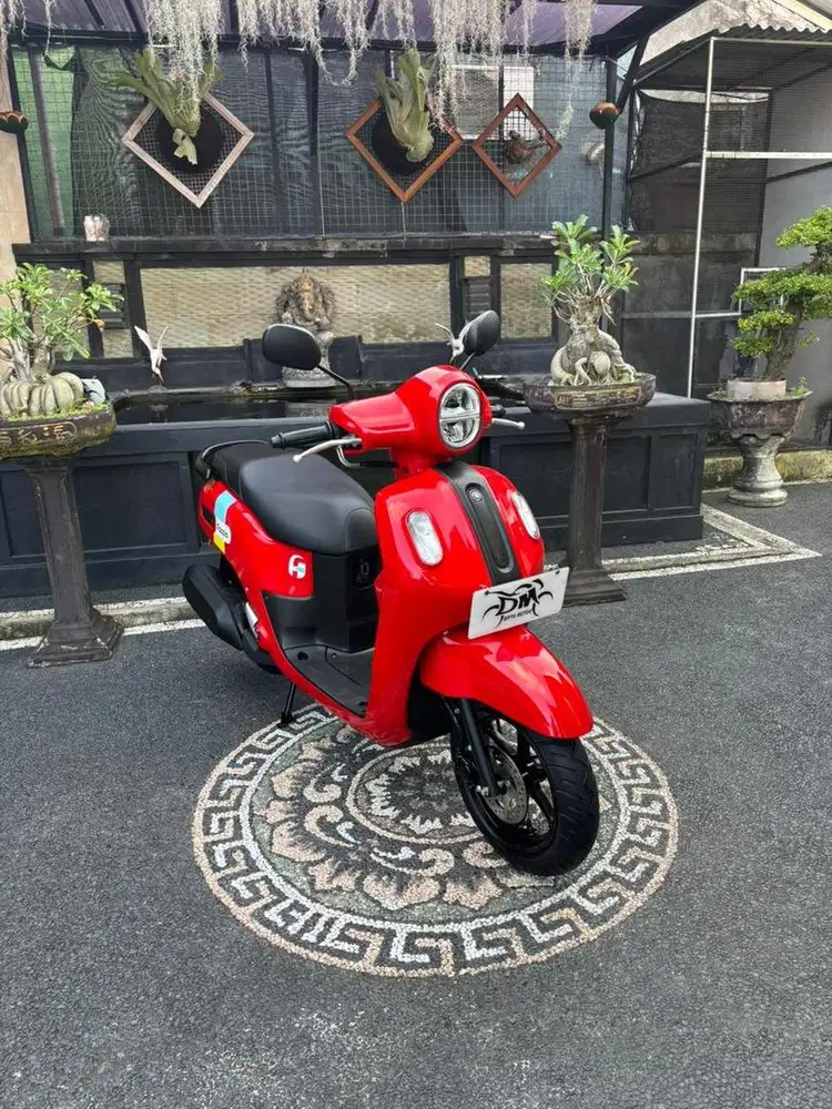 Fazio neo 2024 low kilometer