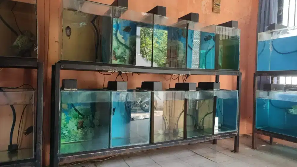 aquarium akuarium + rak + mesin lengkap