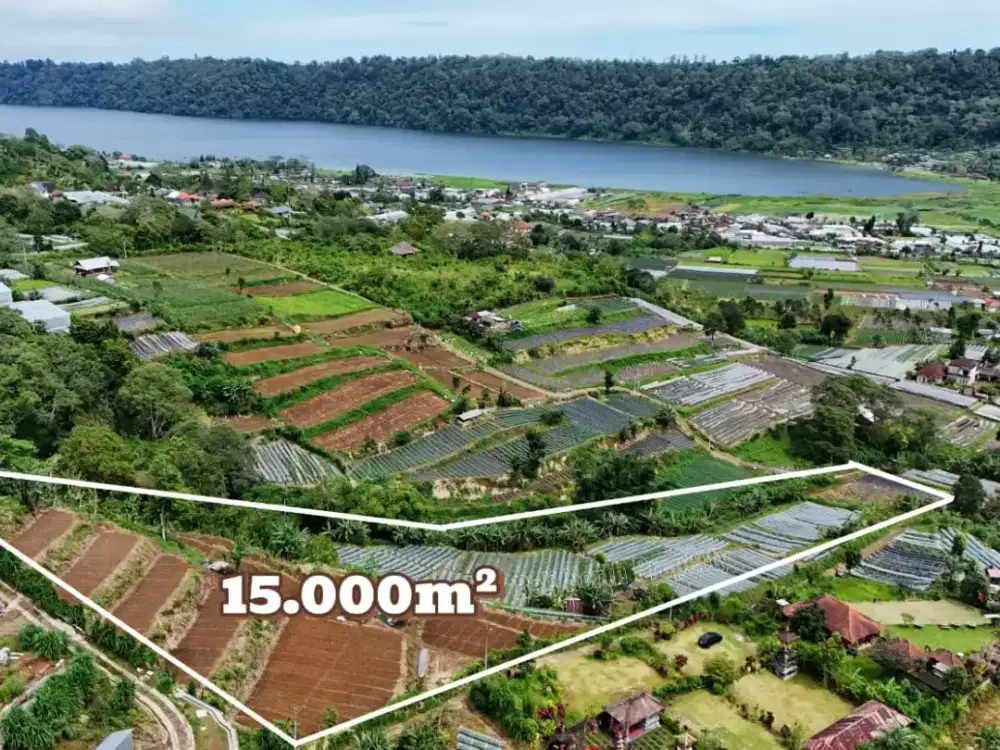 Tanah Dataran Tinggi Langka Dijual di Pancasari, Bali Utara