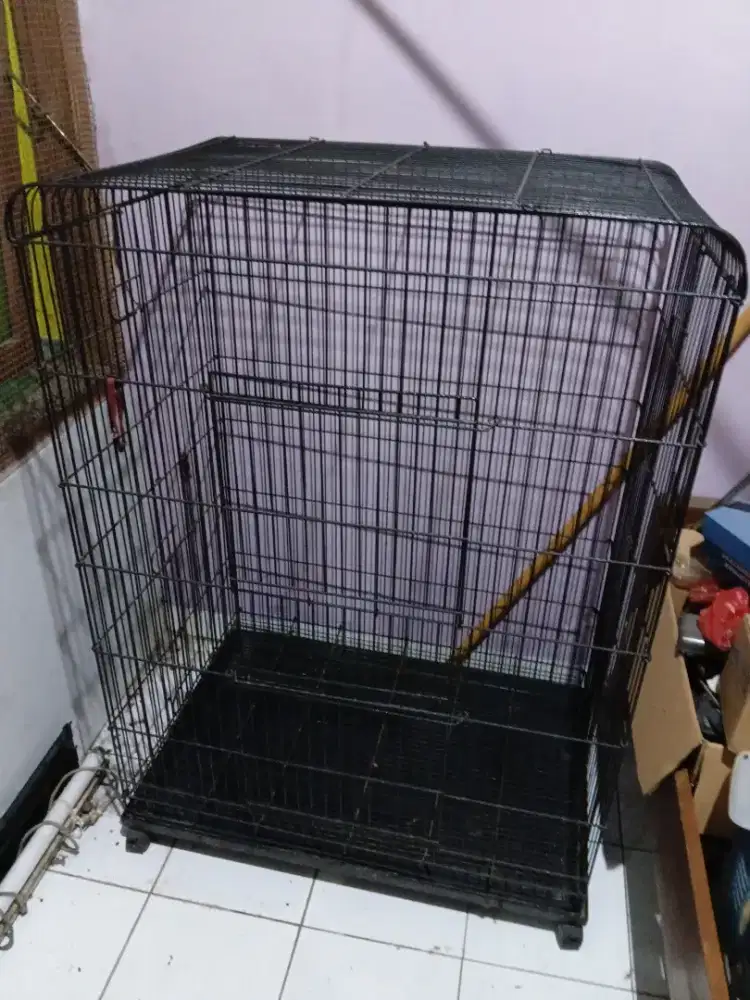 Jual kandang kucing