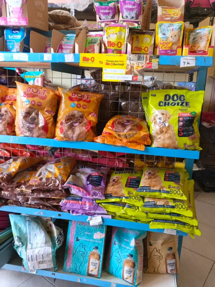 Jaga petshop dan grooming kucing