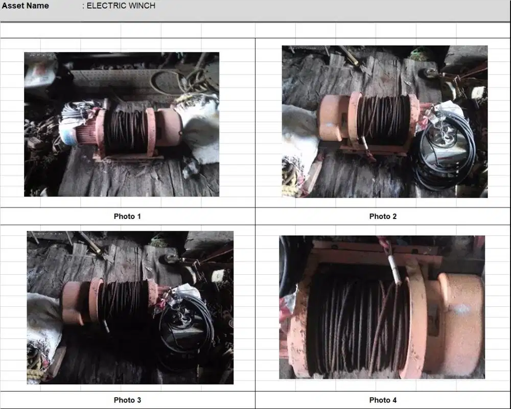 ELECTRIC WINCH 1 TON - 100MTR