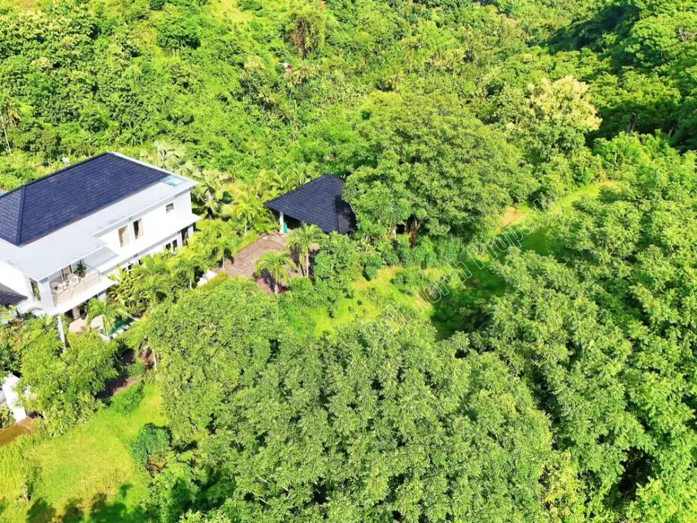 Tanah Premium dengan Pemandangan Laut Dijual – Lovina, Bali Utara