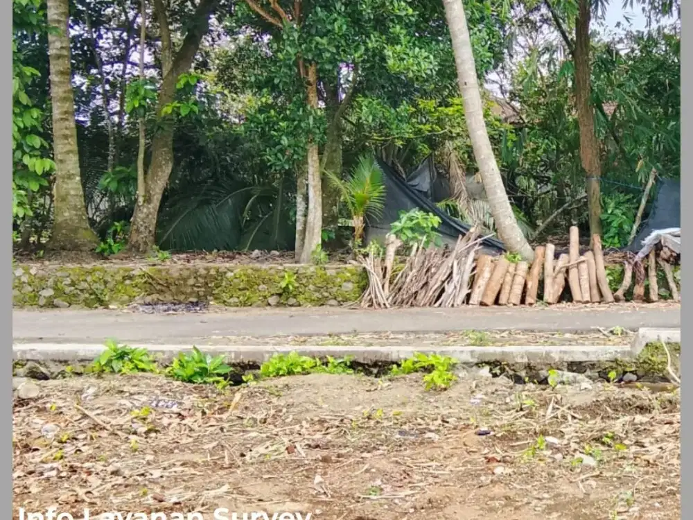 Tanah Jogja 1Km Jl Palagan Km 14 SHM Pekarangan 2 Jt/mtr