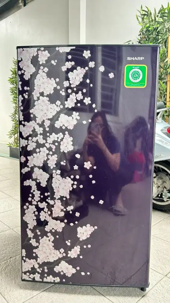 Kulkas Sharp 1 pintu